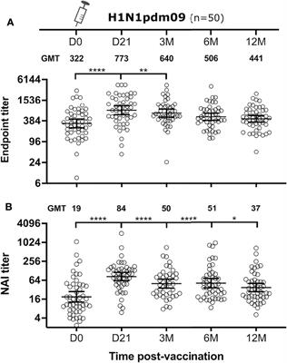 Repeated Influenza Vaccination Boosts and Maintains H1N1pdm09 Neuraminidase Antibody Titers